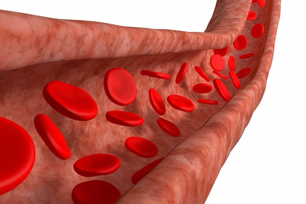 血管與血液