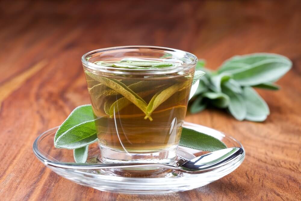 鼠尾草茶