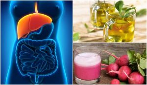 探索如何天然地治療脂肪肝