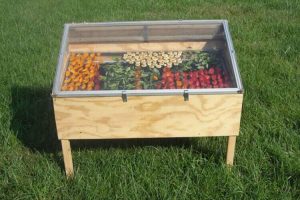 如何製作自己的食物日曬脫水箱