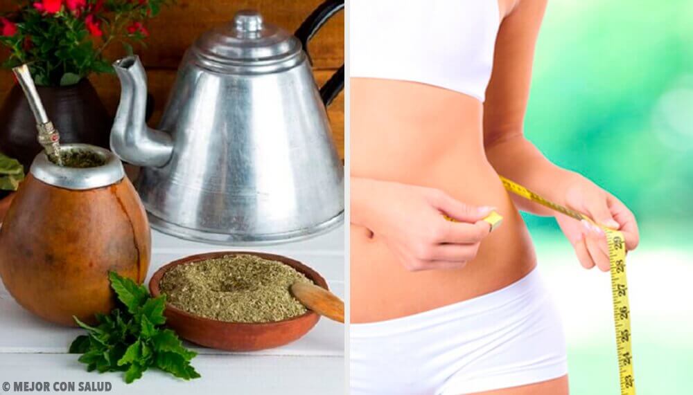 瑪黛茶的效益:它能幫你減重嗎?