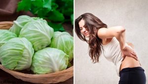 試著使用這種黏土、醋和高麗菜葉療法來減少疝氣