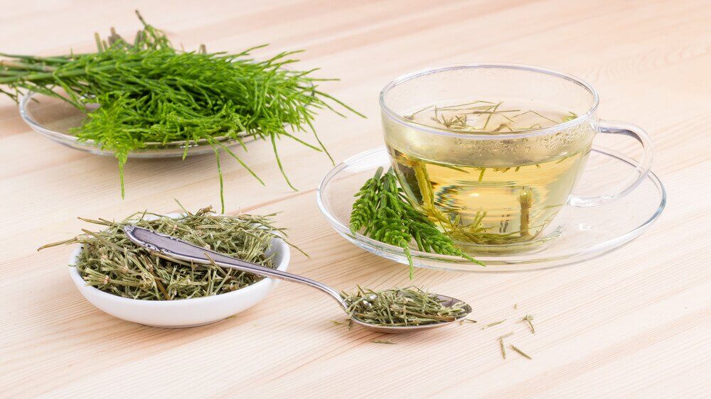 馬尾草茶