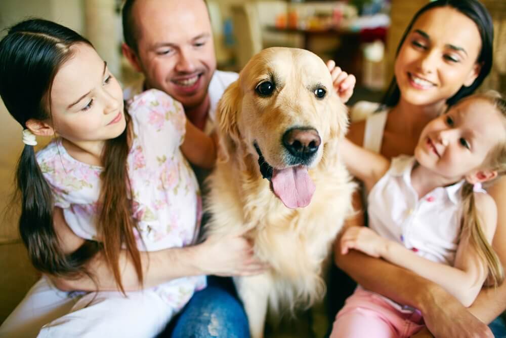 狗與家人