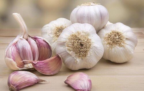 大蒜