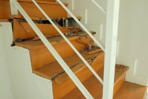 如何讓白蟻遠離你家