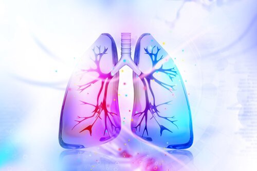 用這三種自然療法為肺排毒