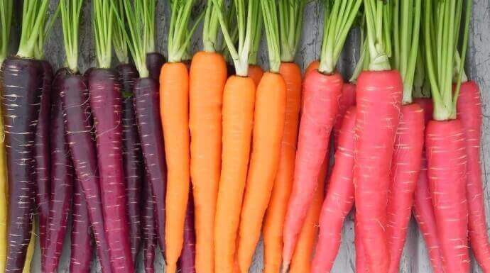 紅蘿蔔的超美妙健康效益