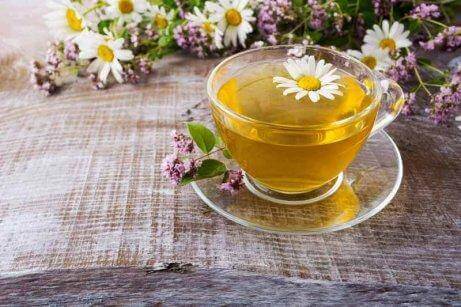 洋甘菊茶