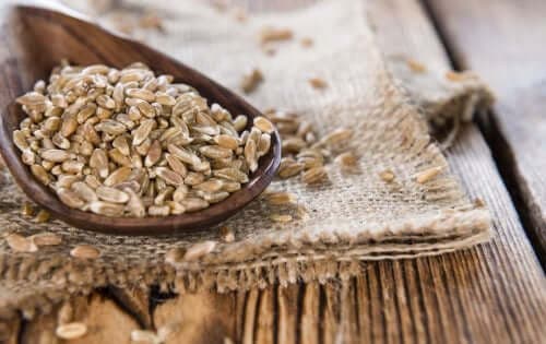 黑麥和斯佩爾特全麥麵包