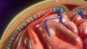 注射幫浦:使用及病患照護