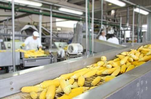 食物處理方法對食物營養價值的影響