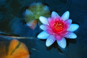 如果有人對你不好,你應該允許自己做的5件事