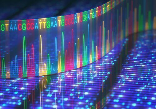 DNA