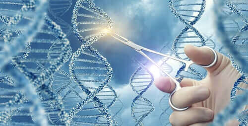 基因突變是什麼？